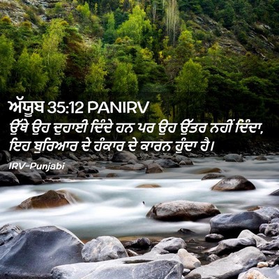 Picture 02 - ਅੱਯੂਬ 35:12 PANIRV - ਉੱਥੇ ਉਹ ਦੁਹਾਈ - Bible Verse Picture