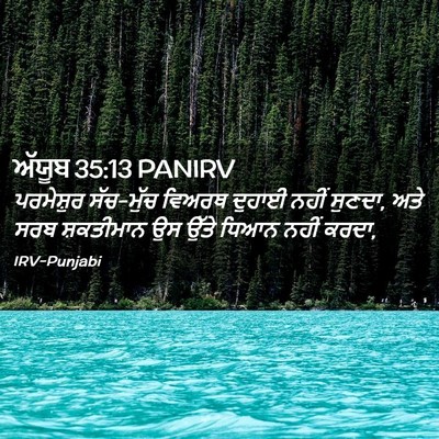 Picture 02 - ਅੱਯੂਬ 35:13 PANIRV - ਪਰਮੇਸ਼ੁਰ ਸੱਚ-ਮੁੱਚ - Bible Verse Picture
