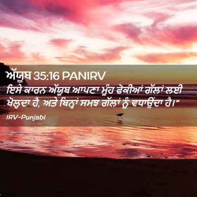 Picture 02 - ਅੱਯੂਬ 35:16 PANIRV - ਇਸੇ ਕਾਰਨ ਅੱਯੂਬ - Bible Verse Picture