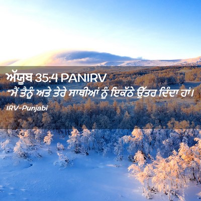 Picture 02 - ਅੱਯੂਬ 35:4 PANIRV - “ਮੈਂ ਤੈਨੂੰ ਅਤੇ - Bible Verse Picture