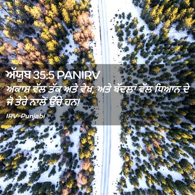 Picture 02 - ਅੱਯੂਬ 35:5 PANIRV - ਅਕਾਸ਼ ਵੱਲ ਤੱਕ ਅਤੇ - Bible Verse Picture