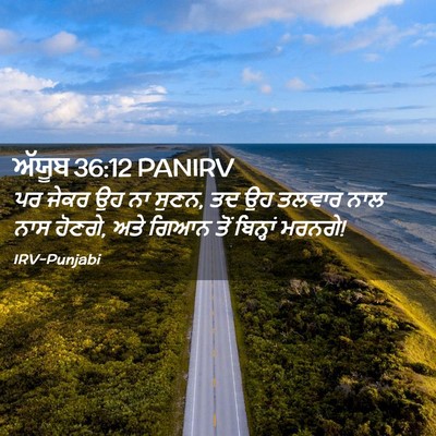 Picture 02 - ਅੱਯੂਬ 36:12 PANIRV - ਪਰ ਜੇਕਰ ਉਹ ਨਾ ਸੁਣਨ, - Bible Verse Picture