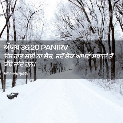 Picture 02 - ਅੱਯੂਬ 36:20 PANIRV - ਉਸ ਰਾਤ ਲਈ ਨਾ ਲੋਚ, - Bible Verse Picture