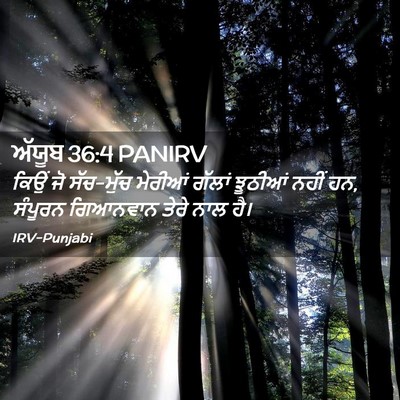 Picture 02 - ਅੱਯੂਬ 36:4 PANIRV - ਕਿਉਂ ਜੋ ਸੱਚ-ਮੁੱਚ - Bible Verse Picture