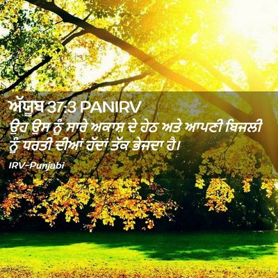 Picture 02 - ਅੱਯੂਬ 37:3 PANIRV - ਉਹ ਉਸ ਨੂੰ ਸਾਰੇ - Bible Verse Picture