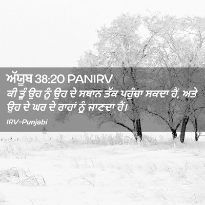 Picture 02 - ਅੱਯੂਬ 38:20 PANIRV - ਕੀ ਤੂੰ ਉਹ ਨੂੰ ਉਹ ਦੇ - Bible Verse Picture