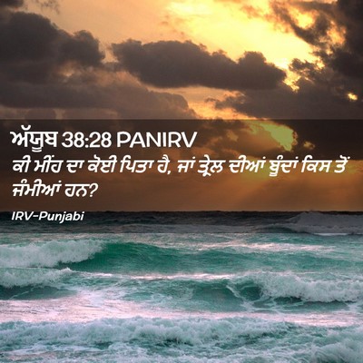 Picture 02 - ਅੱਯੂਬ 38:28 PANIRV - ਕੀ ਮੀਂਹ ਦਾ ਕੋਈ ਪਿਤਾ - Bible Verse Picture