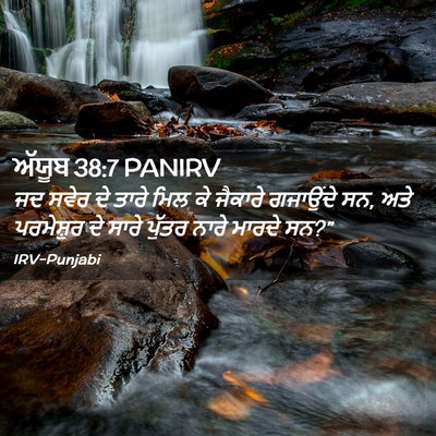 Picture 02 - ਅੱਯੂਬ 38:7 PANIRV - ਜਦ ਸਵੇਰ ਦੇ ਤਾਰੇ ਮਿਲ - Bible Verse Picture