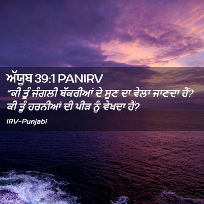 Picture 02 - ਅੱਯੂਬ 39:1 PANIRV - “ਕੀ ਤੂੰ ਜੰਗਲੀ - Bible Verse Picture