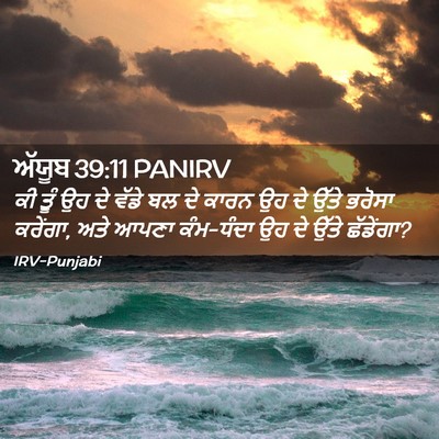 Picture 02 - ਅੱਯੂਬ 39:11 PANIRV - ਕੀ ਤੂੰ ਉਹ ਦੇ ਵੱਡੇ - Bible Verse Picture