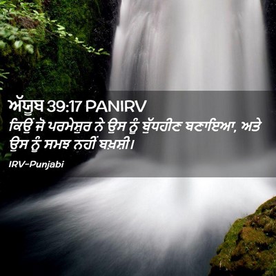 Picture 02 - ਅੱਯੂਬ 39:17 PANIRV - ਕਿਉਂ ਜੋ ਪਰਮੇਸ਼ੁਰ - Bible Verse Picture