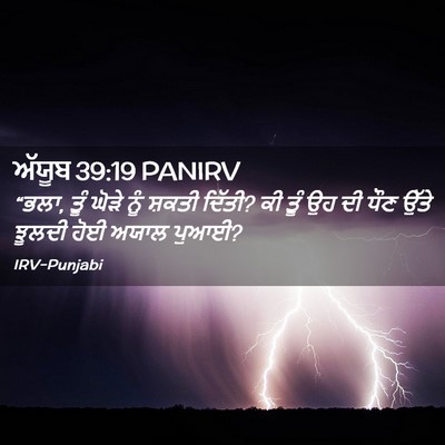 Picture 02 - ਅੱਯੂਬ 39:19 PANIRV - “ਭਲਾ, ਤੂੰ ਘੋੜੇ ਨੂੰ - Bible Verse Picture