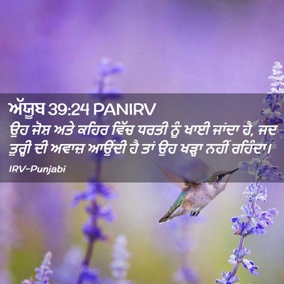 Picture 02 - ਅੱਯੂਬ 39:24 PANIRV - ਉਹ ਜੋਸ਼ ਅਤੇ ਕਹਿਰ - Bible Verse Picture