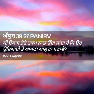 Picture 02 - ਅੱਯੂਬ 39:27 PANIRV - ਕੀ ਉਕਾਬ ਤੇਰੇ ਹੁਕਮ - Bible Verse Picture