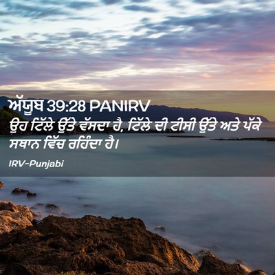 Picture 02 - ਅੱਯੂਬ 39:28 PANIRV - ਉਹ ਟਿੱਲੇ ਉੱਤੇ - Bible Verse Picture