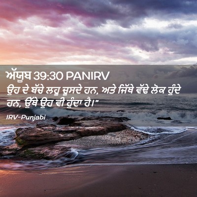 Picture 02 - ਅੱਯੂਬ 39:30 PANIRV - ਉਹ ਦੇ ਬੱਚੇ ਲਹੂ - Bible Verse Picture