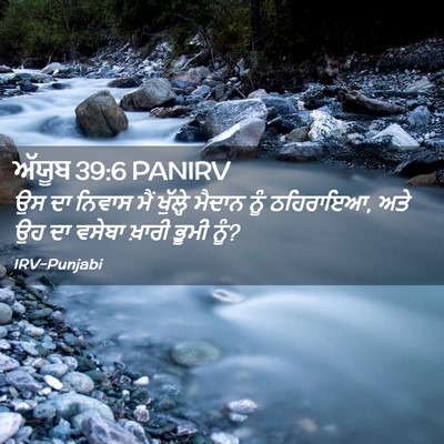 Picture 02 - ਅੱਯੂਬ 39:6 PANIRV - ਉਸ ਦਾ ਨਿਵਾਸ ਮੈਂ - Bible Verse Picture