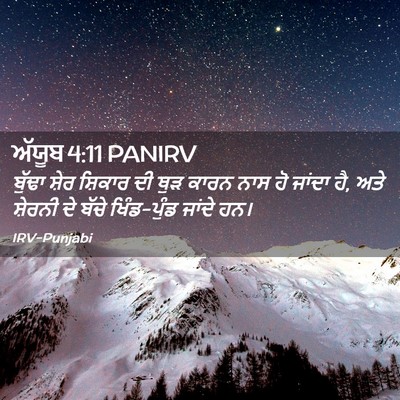 Picture 02 - ਅੱਯੂਬ 4:11 PANIRV - ਬੁੱਢਾ ਸ਼ੇਰ ਸ਼ਿਕਾਰ - Bible Verse Picture