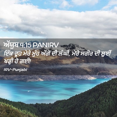 Picture 02 - ਅੱਯੂਬ 4:15 PANIRV - ਇੱਕ ਰੂਹ ਮੇਰੇ ਮੂੰਹ - Bible Verse Picture