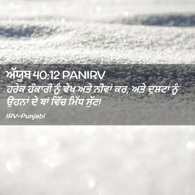 Picture 02 - ਅੱਯੂਬ 40:12 PANIRV - ਹਰੇਕ ਹੰਕਾਰੀ ਨੂੰ - Bible Verse Picture