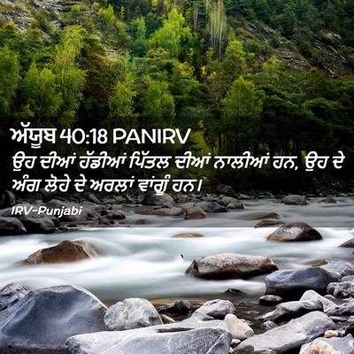 Picture 02 - ਅੱਯੂਬ 40:18 PANIRV - ਉਹ ਦੀਆਂ ਹੱਡੀਆਂ - Bible Verse Picture