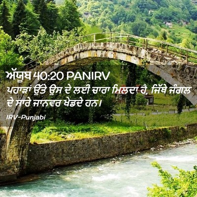 Picture 02 - ਅੱਯੂਬ 40:20 PANIRV - ਪਹਾੜਾਂ ਉੱਤੇ ਉਸ ਦੇ - Bible Verse Picture