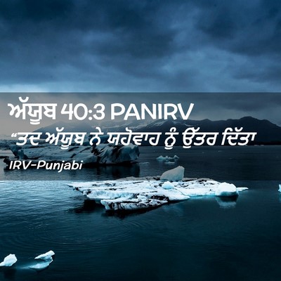 Picture 02 - ਅੱਯੂਬ 40:3 PANIRV - “ਤਦ ਅੱਯੂਬ ਨੇ - Bible Verse Picture