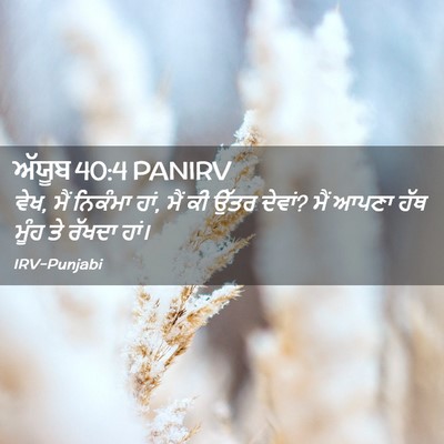 Picture 02 - ਅੱਯੂਬ 40:4 PANIRV - ਵੇਖ, ਮੈਂ ਨਿਕੰਮਾ - Bible Verse Picture