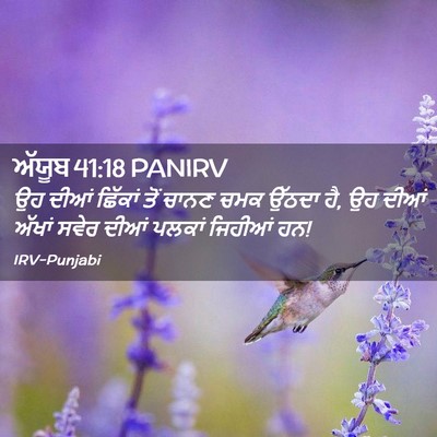 Picture 02 - ਅੱਯੂਬ 41:18 PANIRV - ਉਹ ਦੀਆਂ ਛਿੱਕਾਂ ਤੋਂ - Bible Verse Picture