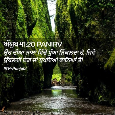 Picture 02 - ਅੱਯੂਬ 41:20 PANIRV - ਉਹ ਦੀਆਂ ਨਾਸਾਂ - Bible Verse Picture