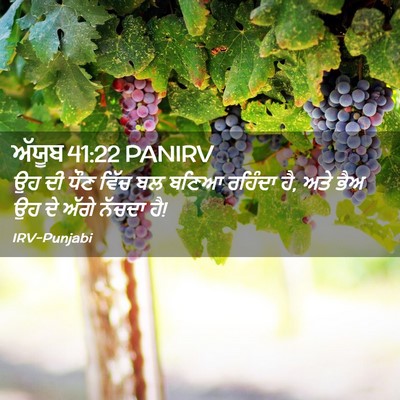 Picture 02 - ਅੱਯੂਬ 41:22 PANIRV - ਉਹ ਦੀ ਧੌਣ ਵਿੱਚ ਬਲ - Bible Verse Picture