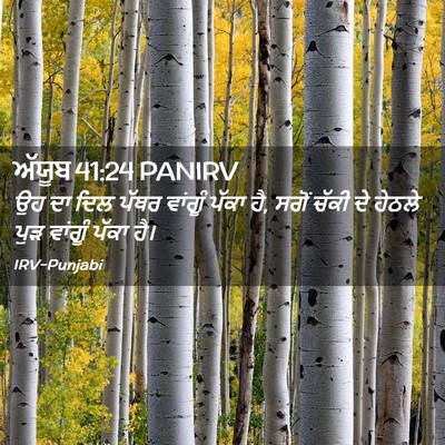 Picture 02 - ਅੱਯੂਬ 41:24 PANIRV - ਉਹ ਦਾ ਦਿਲ ਪੱਥਰ - Bible Verse Picture