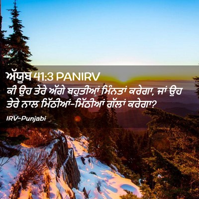 Picture 02 - ਅੱਯੂਬ 41:3 PANIRV - ਕੀ ਉਹ ਤੇਰੇ ਅੱਗੇ - Bible Verse Picture