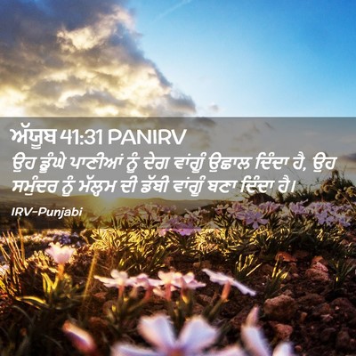Picture 02 - ਅੱਯੂਬ 41:31 PANIRV - ਉਹ ਡੂੰਘੇ ਪਾਣੀਆਂ - Bible Verse Picture