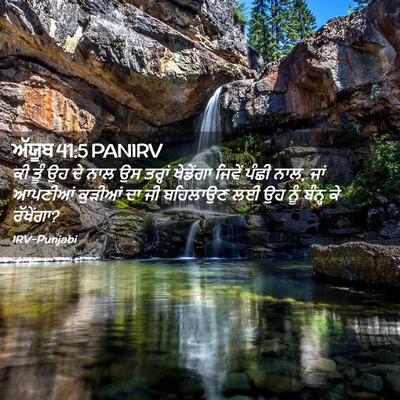 Picture 02 - ਅੱਯੂਬ 41:5 PANIRV - ਕੀ ਤੂੰ ਉਹ ਦੇ ਨਾਲ ਉਸ - Bible Verse Picture