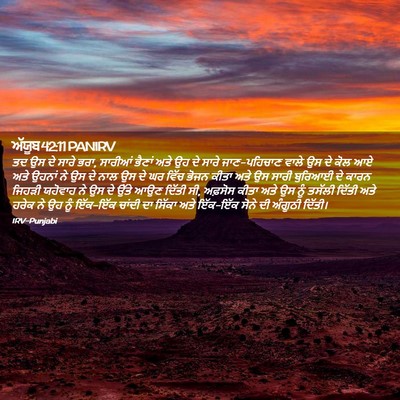 Picture 02 - ਅੱਯੂਬ 42:11 PANIRV - ਤਦ ਉਸ ਦੇ ਸਾਰੇ ਭਰਾ, - Bible Verse Picture