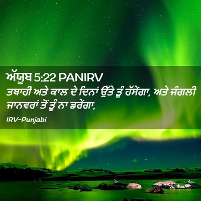 Picture 02 - ਅੱਯੂਬ 5:22 PANIRV - ਤਬਾਹੀ ਅਤੇ ਕਾਲ ਦੇ - Bible Verse Picture