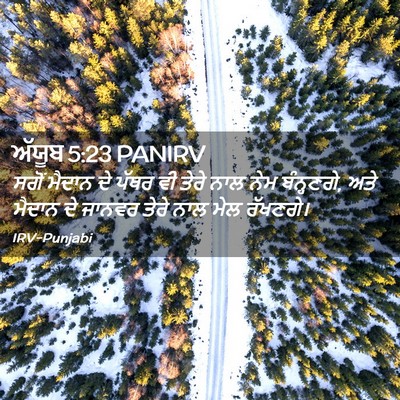 Picture 02 - ਅੱਯੂਬ 5:23 PANIRV - ਸਗੋਂ ਮੈਦਾਨ ਦੇ ਪੱਥਰ - Bible Verse Picture