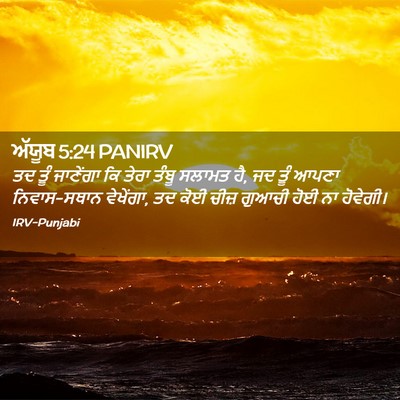 Picture 02 - ਅੱਯੂਬ 5:24 PANIRV - ਤਦ ਤੂੰ ਜਾਣੇਂਗਾ ਕਿ - Bible Verse Picture
