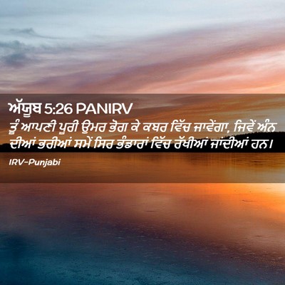 Picture 02 - ਅੱਯੂਬ 5:26 PANIRV - ਤੂੰ ਆਪਣੀ ਪੂਰੀ ਉਮਰ - Bible Verse Picture
