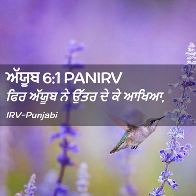 Picture 02 - ਅੱਯੂਬ 6:1 PANIRV - ਫਿਰ ਅੱਯੂਬ ਨੇ ਉੱਤਰ - Bible Verse Picture