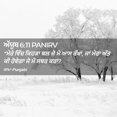 Picture 02 - ਅੱਯੂਬ 6:11 PANIRV - “ਮੇਰੇ ਵਿੱਚ ਕਿਹੜਾ - Bible Verse Picture