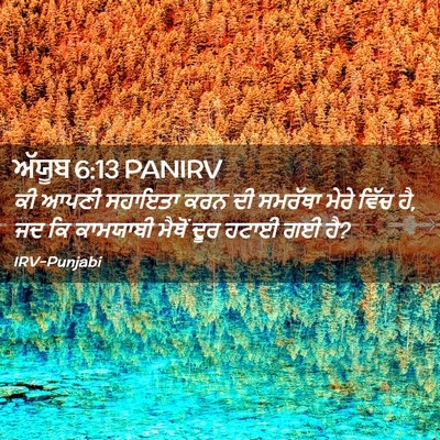 Picture 02 - ਅੱਯੂਬ 6:13 PANIRV - ਕੀ ਆਪਣੀ ਸਹਾਇਤਾ ਕਰਨ - Bible Verse Picture