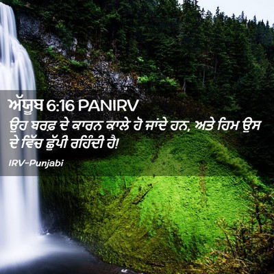 Picture 02 - ਅੱਯੂਬ 6:16 PANIRV - ਉਹ ਬਰਫ਼ ਦੇ ਕਾਰਨ - Bible Verse Picture