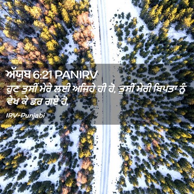 Picture 02 - ਅੱਯੂਬ 6:21 PANIRV - ਹੁਣ ਤੁਸੀਂ ਮੇਰੇ ਲਈ - Bible Verse Picture