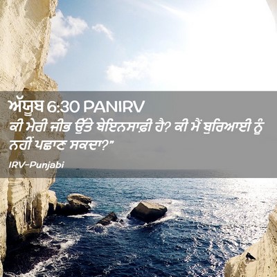 Picture 02 - ਅੱਯੂਬ 6:30 PANIRV - ਕੀ ਮੇਰੀ ਜੀਭ ਉੱਤੇ - Bible Verse Picture