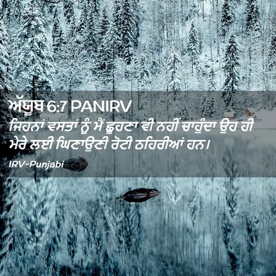 Picture 02 - ਅੱਯੂਬ 6:7 PANIRV - ਜਿਹਨਾਂ ਵਸਤਾਂ ਨੂੰ - Bible Verse Picture