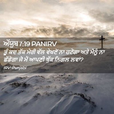 Picture 02 - ਅੱਯੂਬ 7:19 PANIRV - ਤੂੰ ਕਦ ਤੱਕ ਮੇਰੀ ਵੱਲ - Bible Verse Picture