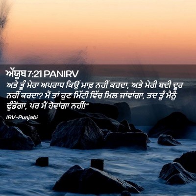 Picture 02 - ਅੱਯੂਬ 7:21 PANIRV - ਅਤੇ ਤੂੰ ਮੇਰਾ ਅਪਰਾਧ - Bible Verse Picture