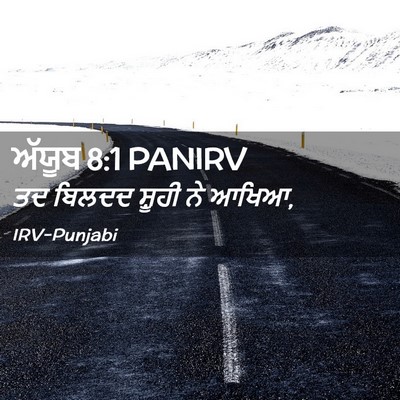 Picture 02 - ਅੱਯੂਬ 8:1 PANIRV - ਤਦ ਬਿਲਦਦ ਸ਼ੂਹੀ ਨੇ - Bible Verse Picture